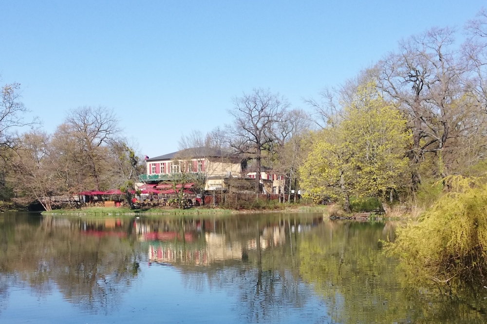 am Carolaschlösschen