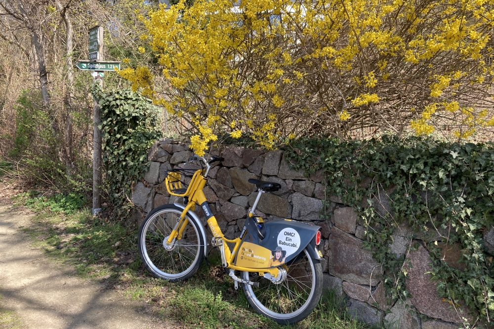in Radebeul